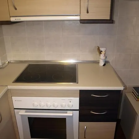 Ordesa Natura Apartment Asin de Broto