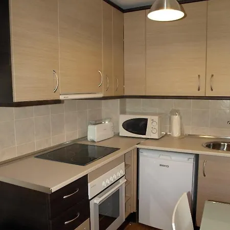 Ordesa Natura Apartment Asin de Broto
