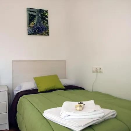 Ordesa Natura Apartment